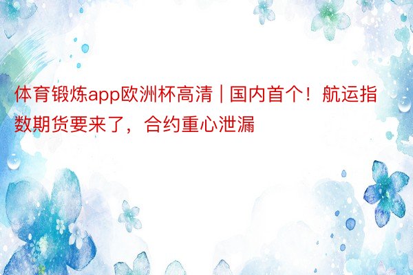 体育锻炼app欧洲杯高清 | 国内首个！航运指数期货要来了，合约重心泄漏