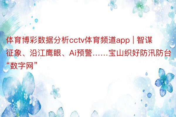 体育博彩数据分析cctv体育频道app | 智谋征象、沿江鹰眼、Ai预警……宝山织好防汛防台“数字网”