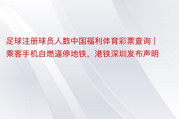 足球注册球员人数中国福利体育彩票查询 | 乘客手机自燃逼停地铁，港铁深圳发布声明